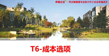 枣庄用友软件T6-成本选项